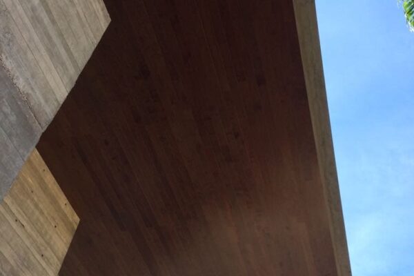 Brazilian Ash