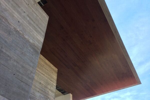 Brazilian Ash