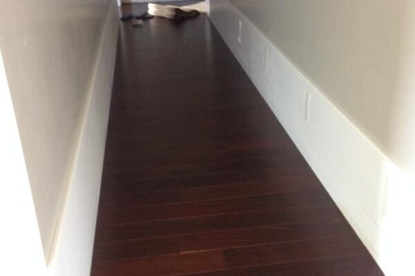 Brazilian Chestnut