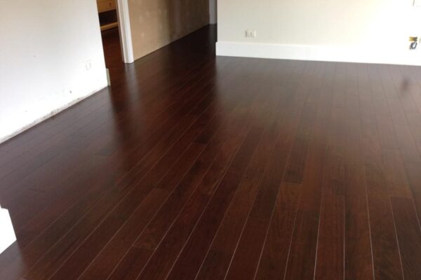 Brazilian Chestnut