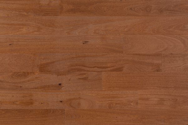 Amazon Oak Dusk (2)