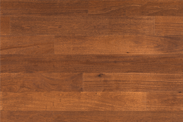 Amazon Oak Temper (4)